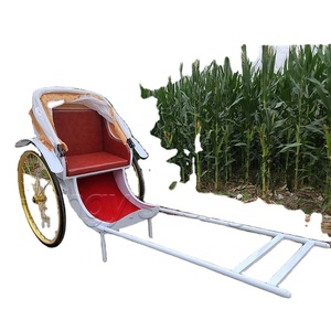 Offre Spéciale Chine pousse-pousse à la main avec 2 roues tourisme urbain Jinrikisha Auto pousse-pousse transport spécial - Product Image 2