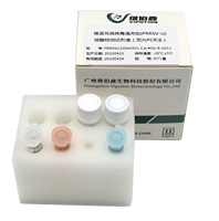 Virus du syndrome respiratoire et reproducteur porcin pcr PCR en temps réel PRRSV kit de test qPCR fabricant de kit de test PCR lyophilisé