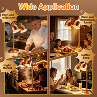 Lampe de maintien au chaud pour buffet, présentoir chauffant pour poulet frit, frites et beignets, lampe chauffante pour aliments