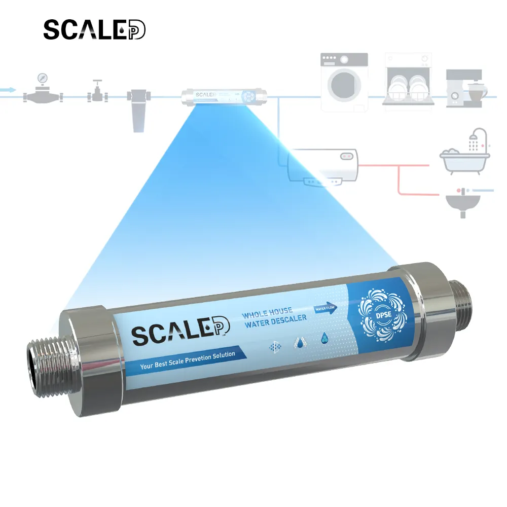 Depuratore automatico della scala del sistema domestico di filtrazione dell'acqua dell'attrezzatura di trattamento delle acque dell'acciaio inossidabile per migliorare la qualità dell'acqua