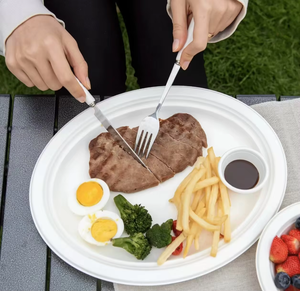 Assiette à pain de 10 pouces de style européen, populaire, écologique, jetable, en bagasse de canne à sucre, biodégradable, compostable, mondiale - Product Image 1