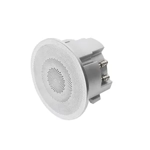 3, 2.5 inch 15W at 4 Ohm ABS Music Mini Rimless Full Range Wall Ceiling Speaker with Passive Radiator for PA Smart Home System