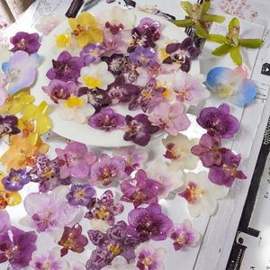 Серьги-подвески из натуральных консервированных цветов в смоле, различные дизайны орхидей, ювелирные украшения, подарок женщине на день рождения - Product Image 3