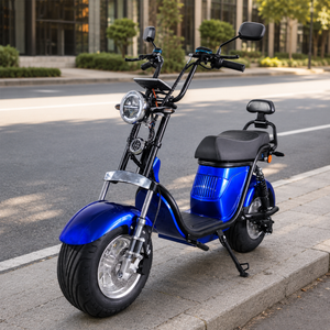 Moto longue portée avec moteur 2000W, batterie 60V 20Ah pour la mobilité urbaine - Product Image 6