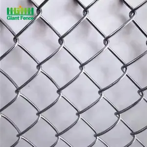 Cheap Price Galvanized Wire Mesh Fence Panel Zinc Coated Chain Link Fence Garden Fence for Basketball Court