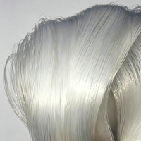 Fil de pêche en nylon monofilament en gros, transparent, 0,1 mm-1,4 mm, pour eau douce et eau salée, vendu au kilo