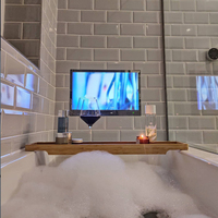 Téléviseur de salle de bain miroir étanche Android 11 de 22 pouces avec écran tactile