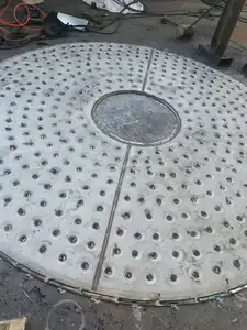 Rotary Vacuum Dryer/ Blade Vacuum Pan Dryer