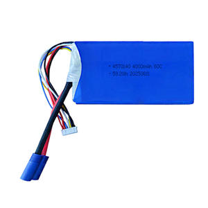Заводская индивидуальная перезаряжаемая 4000 мАч 14,8 В 4000 мАч литий-ионные аккумуляторы для автомобильного Стартера - Product Image 3