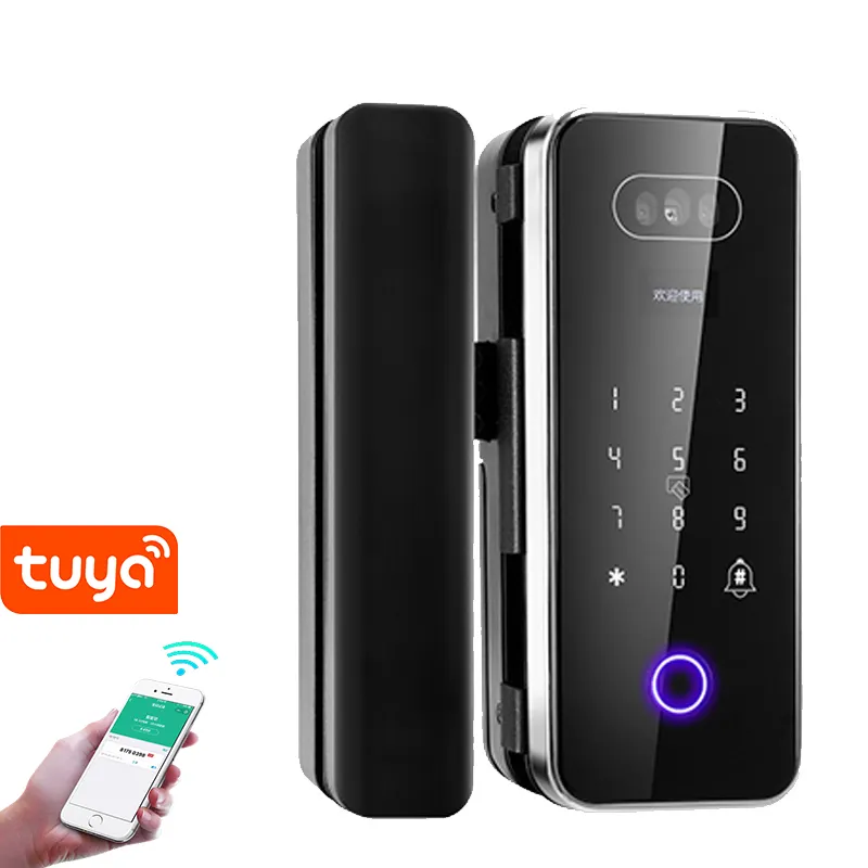 intelligent Electronic Biometric Rfid Card Access Control Tuya wifi APP 3D Face Recognition Smart Glass Frameless Door Lock