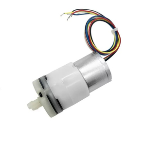 יצרן סיטונאי 310 משאבת brushless Mining עצמית עבור מרסס מתקן תה - Product Image 1