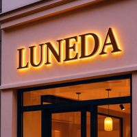 Lettres LED personnalisées Halo éclairées par l'arrière Lettres en relief éclairées par LED Panneau lumineux intérieur Réception Murale pour usage professionnel