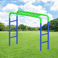 Barres de singe de terrain de jeu de Zoshine pour le cadre d'escalade d'enfants avec l'échelle en acier et les doubles balançoires