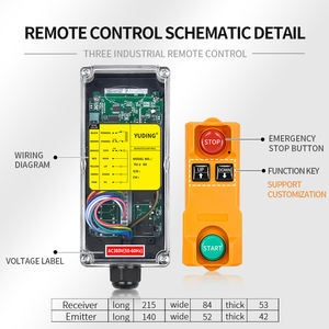 YU-2 2 Knoppen 12V 24V 36V 220V 380V Volt Staart Lift Elektrische Hijskraan Radio Draadloze Afstandsbediening - Product Image 6