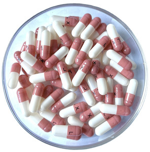 HALAL coa DMF MSDS chứng nhận Gel Power 200 + Viên nang gelatin cứng trống rỗng Kích thước 000 #00 #0 #1 #2 #3 #4 # - Product Image 4