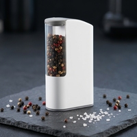 Mini moulin à épices électrique rechargeable portable avec meule en céramique, batterie 1200 mAh, type C, moulin à sel et à poivre pour le camping et le barbecue