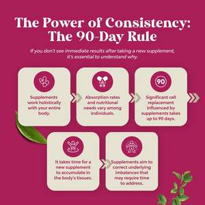 Cápsulas de Turkesterona de Marca Privada OEM/ODM, Suplemento de Turkesterona, Aumenta la Resistencia, el Crecimiento Muscular Magro y la Recuperación - Product Image 6