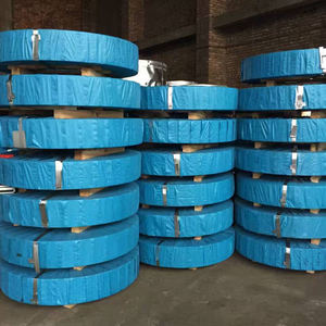 Striscia d'acciaio galvanizzata della messa a terra della striscia d'acciaio galvanizzata laminata a caldo/laminata a freddo per la struttura - Product Image 2