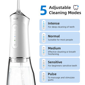 Portatile per la casa Usb ricaricabile per l'igiene orale dentale per la pulizia dei denti per adulti Pulsing irrigatore orale elettrico acqua Flosser - Product Image 3