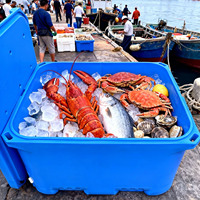 Glacière rotomoulée 1000L isolée PUR, sac de transport pour produits de la mer avec paroi épaisse de 65 mm pour la chaîne du froid