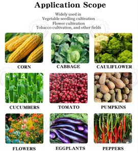 Máquina Automática para Plantar Semillas de Vegetales, para Siembra de Microgreens y Tomates, Alta Productividad, Trabajo en Viveros y Granjas - Product Image 6