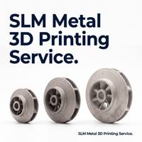 Service d'impression 3D en métal SLM (Aluminium, Titane), Fabrication sur mesure d'hélices, Prototypage monobloc et production à faible volume