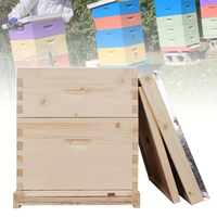 Matériel d'apiculture multi-types et multi-niveaux, ruches en bois avec cadres, ruche en bois enduite de cire