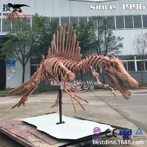 Precio de Fábrica: <span class=keywords><strong>Esqueleto</strong></span> de Dinosaurio Espinosaurio de Silicona Realista para Parques Temáticos - Product Image 3