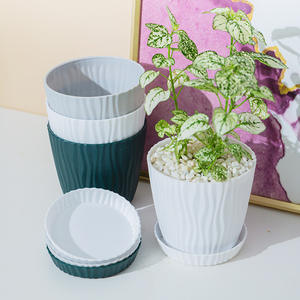 Venta directa de fábrica de nuevos <span class=keywords><strong>cactus</strong></span> suculentos con bandeja y maceta de plástico de aloe vera - Product Image 3