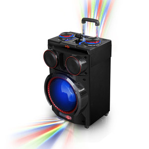 ลำโพงพกพาสำหรับงานปาร์ตี้ 1000 วัตต์ ลำโพงดีเจสำหรับงานปาร์ตี้แบบตั้งพื้น สำหรับ<span class=keywords><strong>คาราโอเกะ</strong></span> - Product Image 4