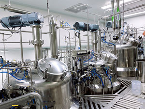 Motor de recipiente a presión de biorreactor con camisa de acero inoxidable para cultivo de células de mamífero de 2000L 220V/380V 1 año de garantía V - Product Image 3