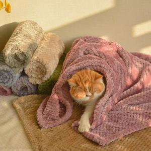 ผ้าห่มสัตว์เลี้ยงทันสมัยเป็นมิตรกับสิ่งแวดล้อม - ผ้าขนแกะปะการังหนานุ่ม อุ่นสบายสำหรับสุนัขและแมว ใช้เป็นเสื่อ/ผ้าคลุม 100% โพลีเอสเตอร์ ใช้ได้ทุกฤดู - Product Image 4