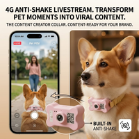 Collier GPS intelligent pour animaux de compagnie OEM/ODM, solution de localisation et de suivi en temps réel à l'échelle mondiale