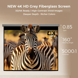 Pantalla de Proyección Manual SCREEN PRO SRC con Amortiguación, Retracción Lenta, Autobloqueo, Anti-Enrollamiento, Color Gris, Fibra de Vidrio - Product Image 3