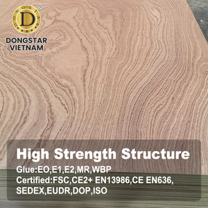 Sapele Face Plywood WBP MR Glue E0 E1 E2 Commercial Plywood for Furniture and <b>Cabinet</b> - Product Image 5