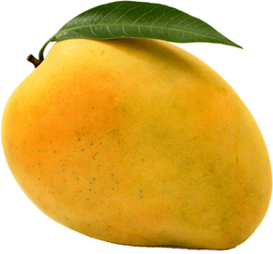 La Mejor Oferta de Mangos Frescos 2026, Naturales y Puros, Disponibles en Grandes Cantidades con Empaque Personalizado, Mangos Frescos en Venta - Product Image 2