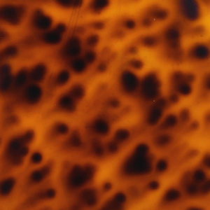 Hoja de PMMA/tablero luminoso de Color fotoluminiscente, lámina acrílica de alto brillo para armarios de cocina - Product Image 1