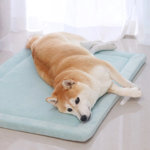 Großhandel Pflegeleichte Hunde- und Katzen-Tatami-Matte Wasserdichte Haustierfreundliche Bodenmatte Bett Weich Nicht Pillend 60*80cm Atmungsaktiver Haustierbereich-Teppich - Product Image 1