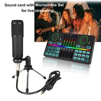 Microphone professionnel monobloc sans condensateur USB, carte de Streaming DJ