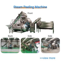 Industriële automatische stoomschiller voor fruit en groenten, hoogrendements voedselverwerkingsmachine