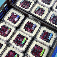 Boîtes à gâteaux, pâtisseries, biscuits et sandwichs en plastique PET transparent de haute qualité, jetables, avec couvercles