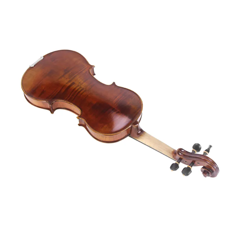 musical instruments violin