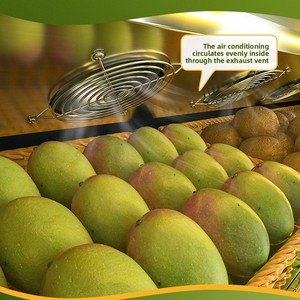 <span class=keywords><strong>Réfrigérateur</strong></span> commercial vertical à rideau d'air pour fruits et viandes avec options <span class=keywords><strong>multi</strong></span>-<span class=keywords><strong>portes</strong></span> - Product Image 3