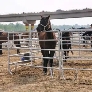 Panneau de clôture de ferme en acier galvanisé durable/panneaux et portes de clôture pour bétail