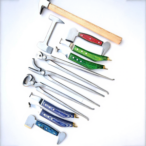 Kit d'outils professionnels pour fermeur de chevaux : Pince à sabots, Pince à clous, Extracteur de clous, Polisseurs de sabots, Couteau à sabots à lame large, Ensemble de couteaux à sabots - Product Image 1