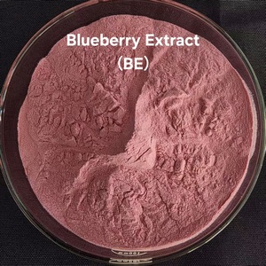 100% натуральный органический экстракт черники в порошке: антиоксидант, поддержка иммунитета и здоровья кишечника, отличный вкус для напитков для взрослых, возможность индивидуального заказа - Product Image 4