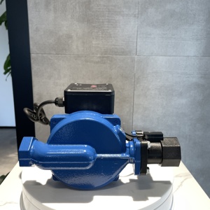 Pompe à eau électrique auto-amorçante domestique 2023 - Product Image 2