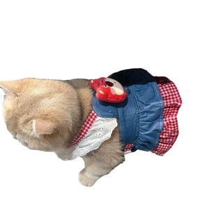Robe de princesse pour chien, petite taille, pour Teddy, Bichon Frisé, Yorkshire Terrier, jupe respirante de printemps avec porte-chiot intégré - Product Image 5