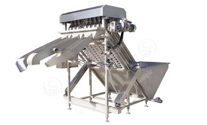 Automatic Boiled Egg Counting <b>Machine</b> - Product Image 3