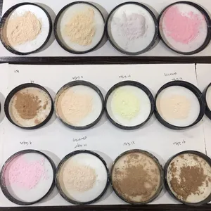 Maquillaje de base en polvo 30g Personalización de gran capacidad Perfeccionamiento de polvo facial suelto Polvo de ajuste translúcido